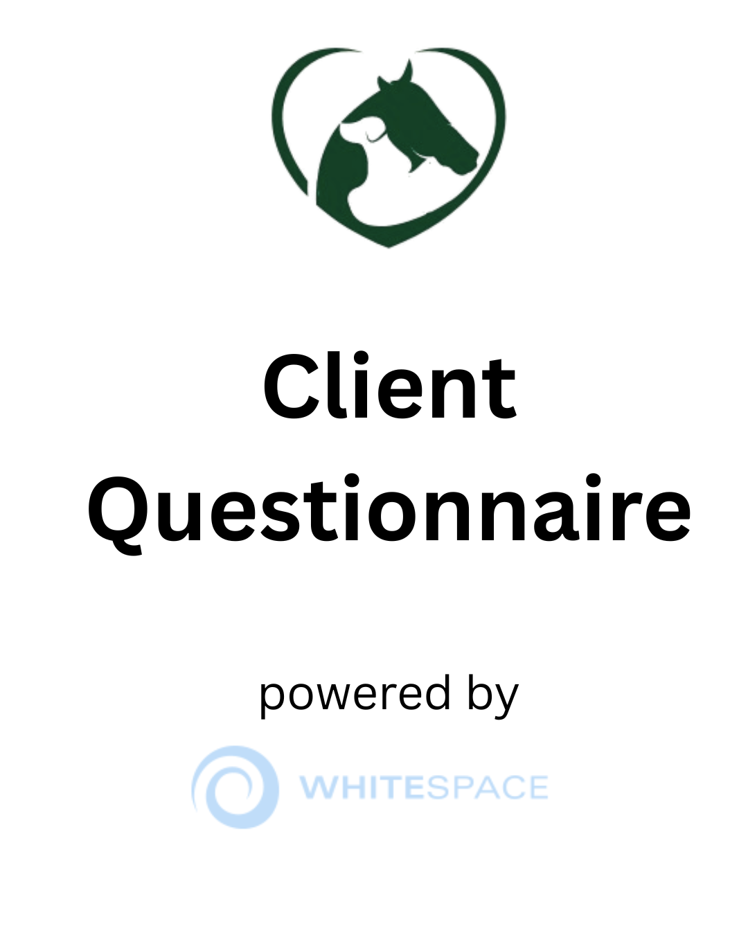 Family Dynamics Questionnaires