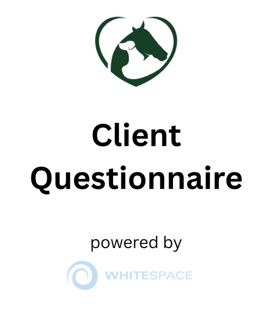 Business Dynamics Questionnaires