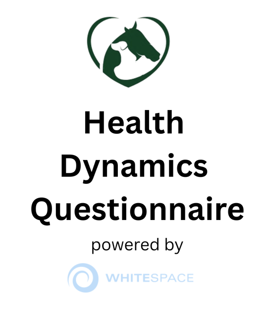 Health Dynamics Questionnaire