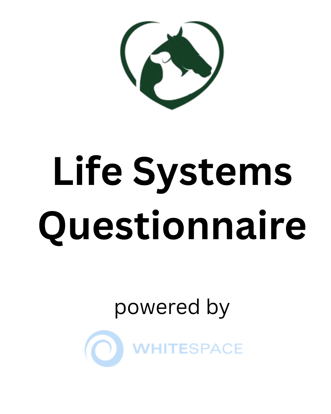 Family Dynamics Questionnaires