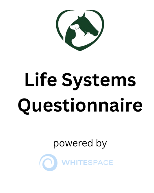 Family Dynamics Questionnaires
